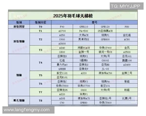 武汉羽毛球队实力深度剖析与各队对比分析
